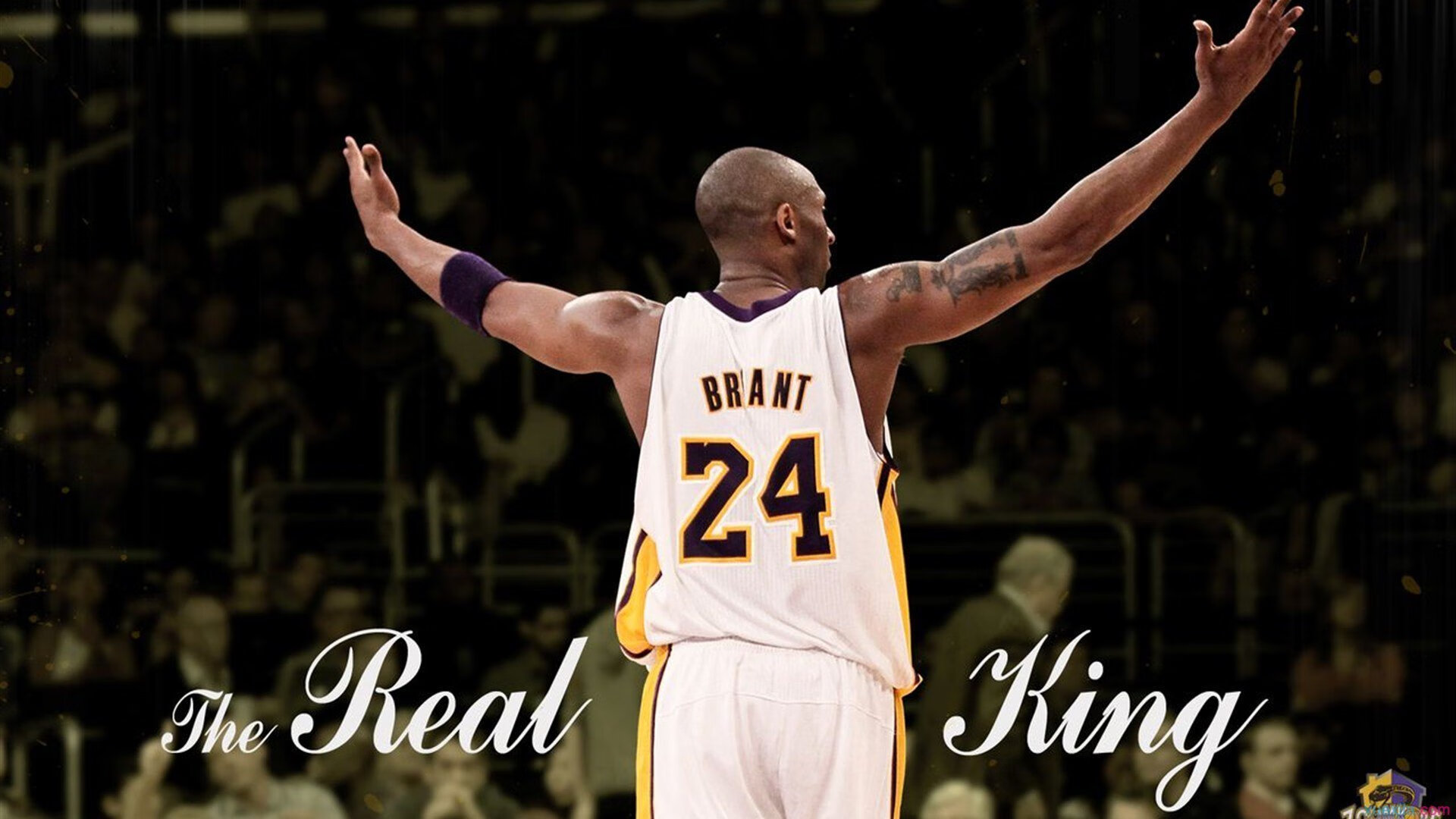 巅峰对决!扣篮大赛惊艳全场,新星闪耀夺魁