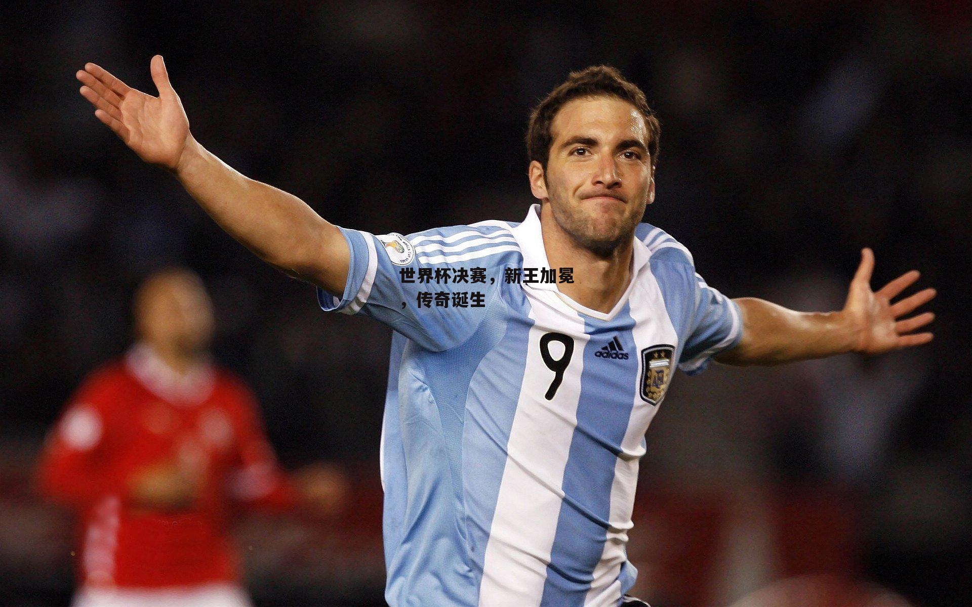 世界杯决赛,新王加冕,传奇诞生